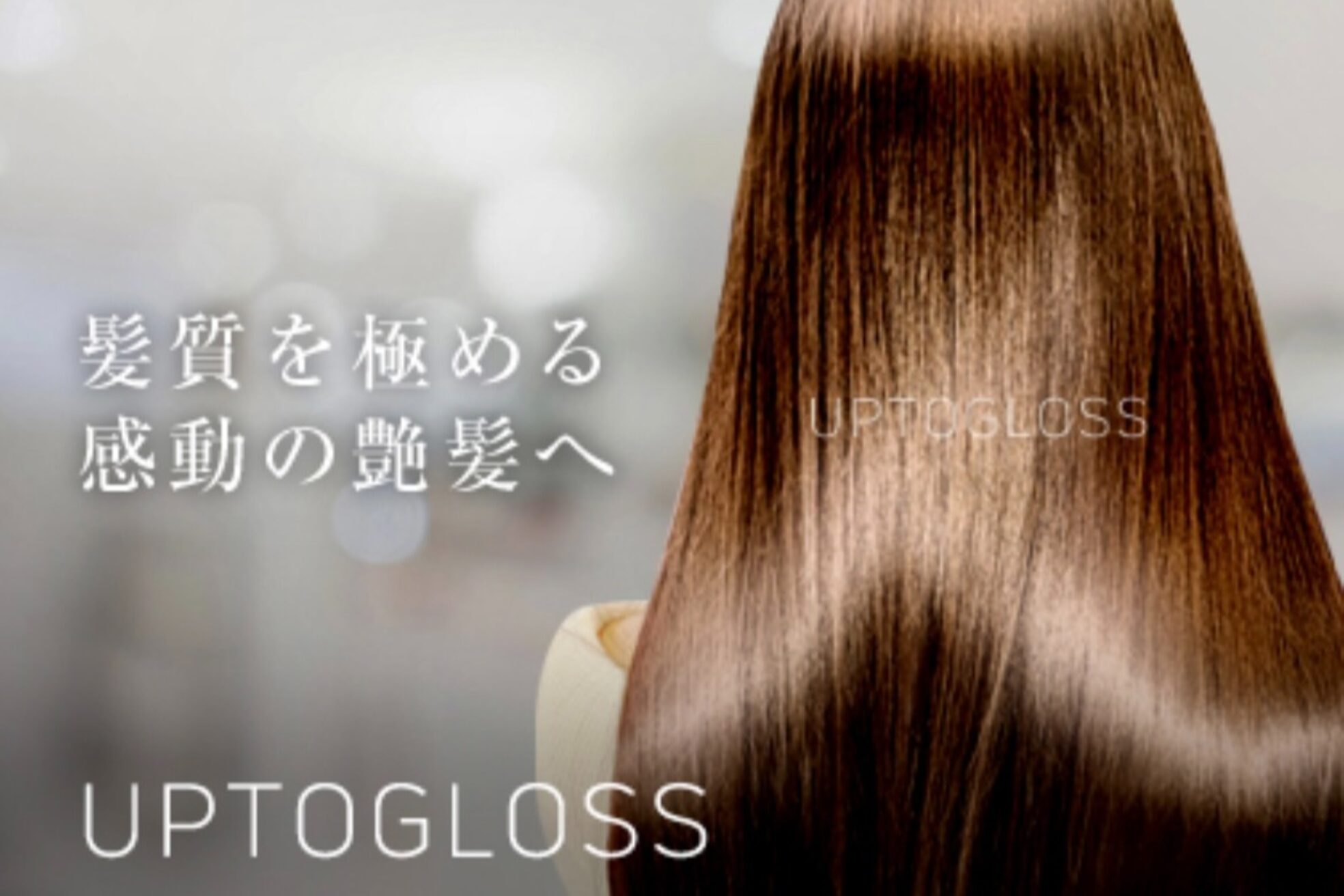 エル ブランシェ(Ailes Branches)6