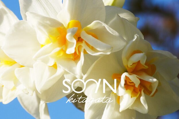 ソイン キタガタ ヘア(so-in kitagata)3