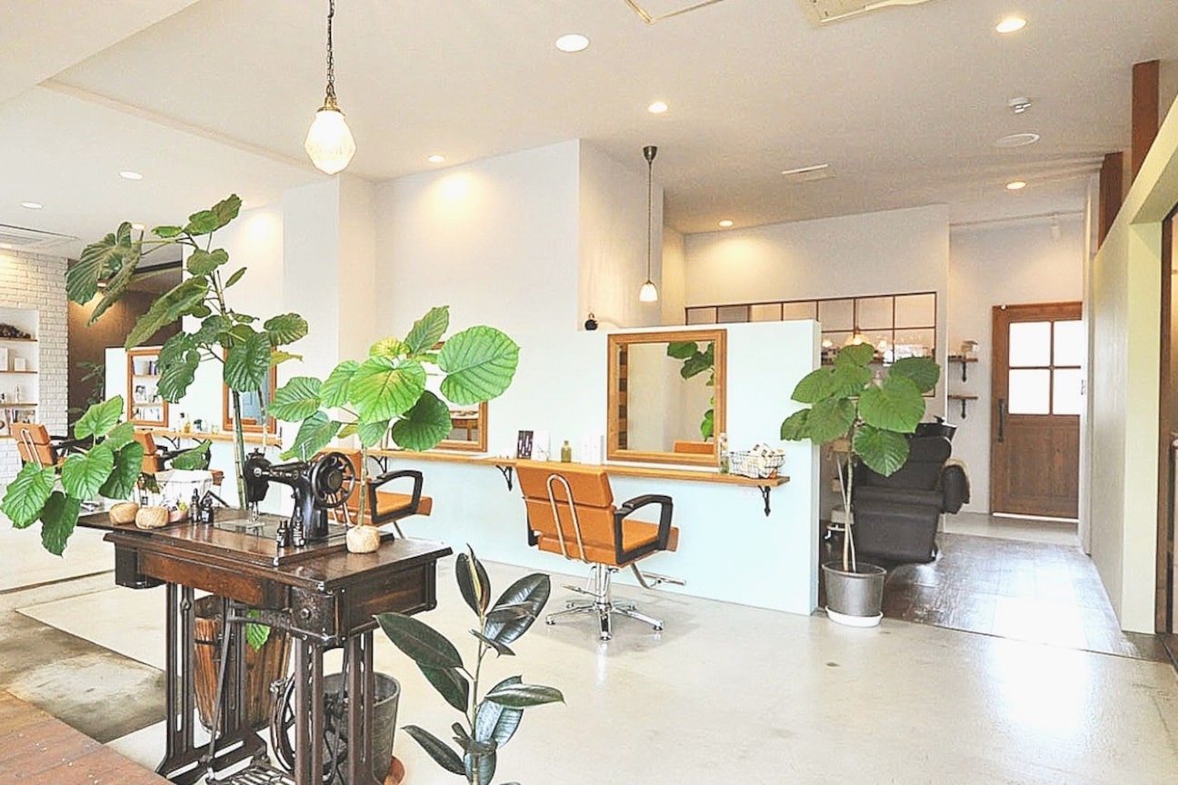 stellavie(株式会社 stellavie)画像1