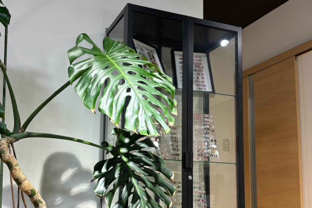 ＮＡＩＬ　ＡＤＤＩＣＴ画像1