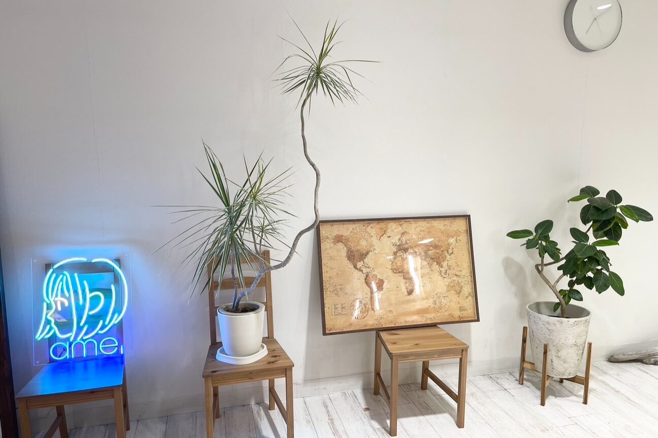 サミット アメ(SUMMIT ame.)4