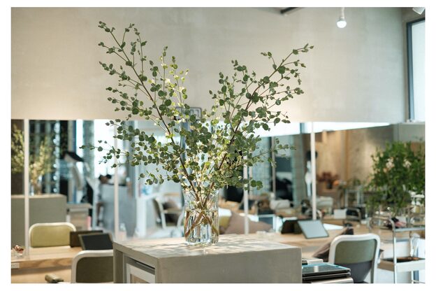 アンリオマール(an rio MAR)1