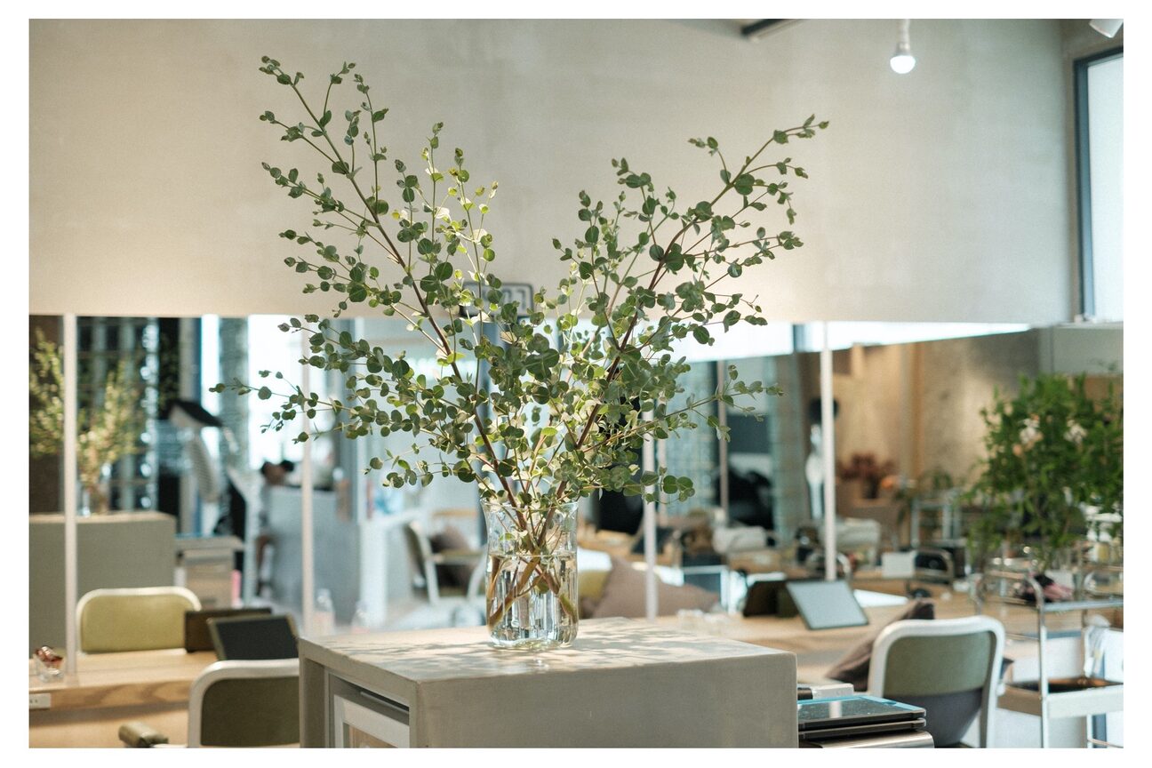 アンリオマール(an rio MAR)1