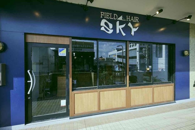 スカイフィールドヘアー(SKY FIELD HAIR)2