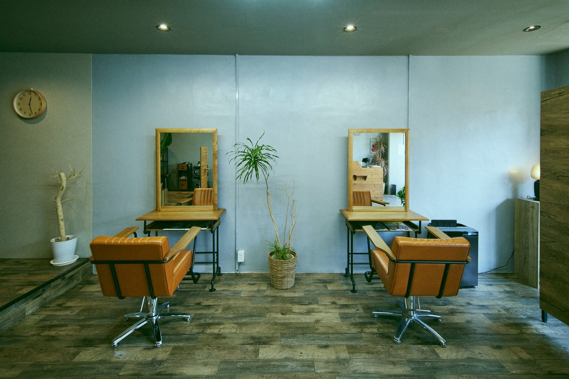 スカイフィールドヘアー(SKY FIELD HAIR)3