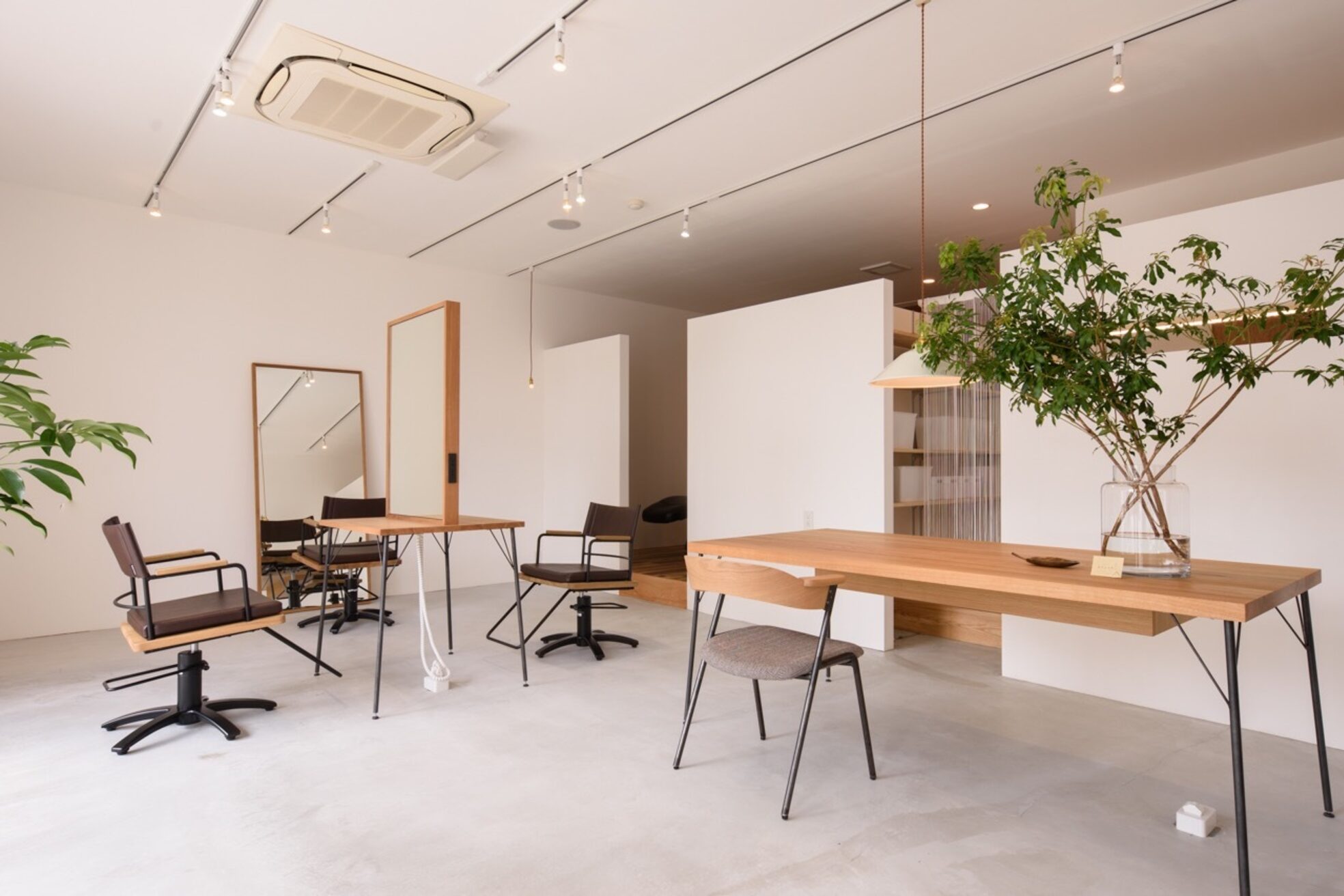 ヘアプラスニリンソウ(hair+)2