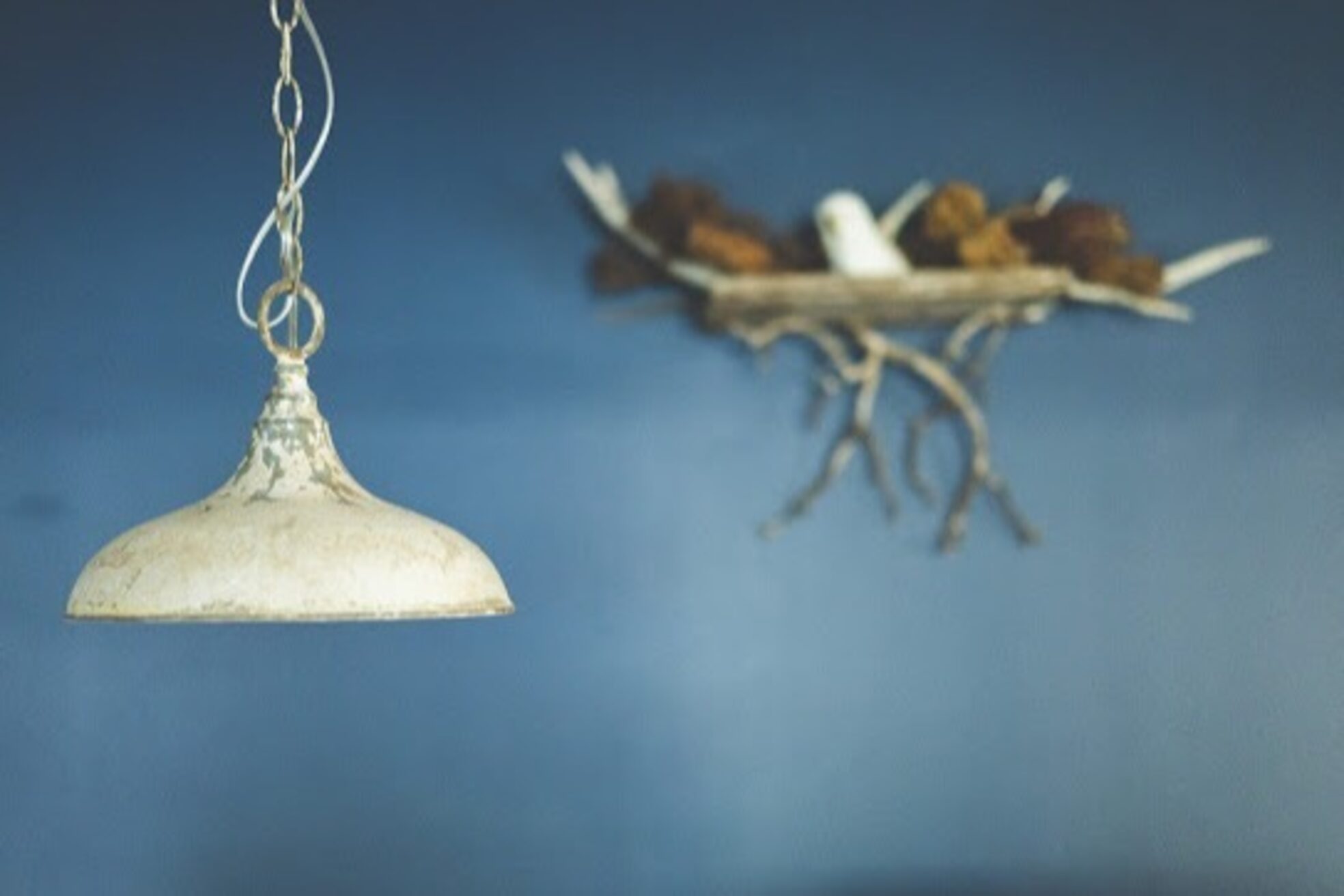 ルスキニア(Luscinia)9