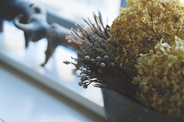 ルスキニア(Luscinia)14