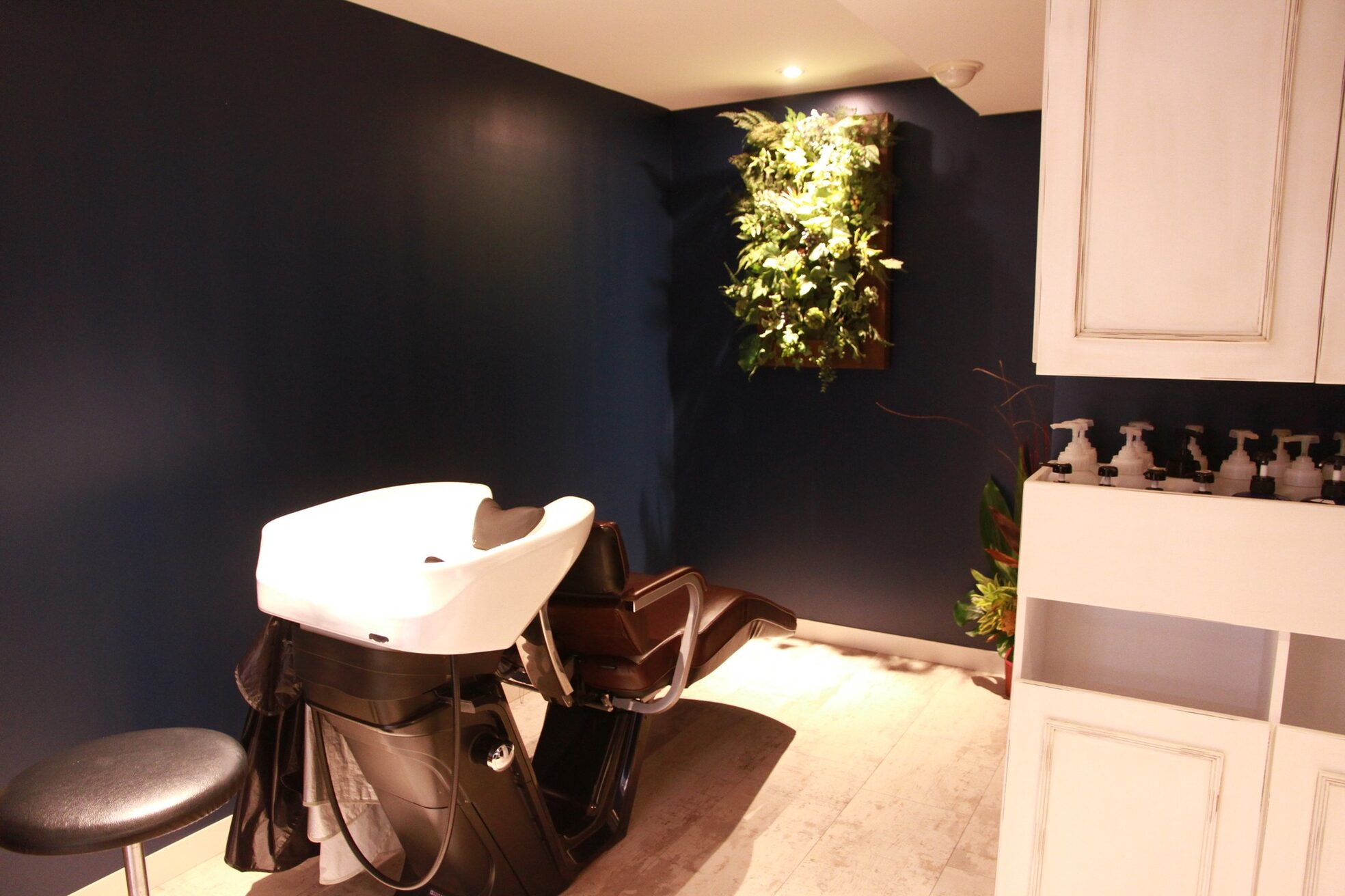 ルスキニア(Luscinia)10