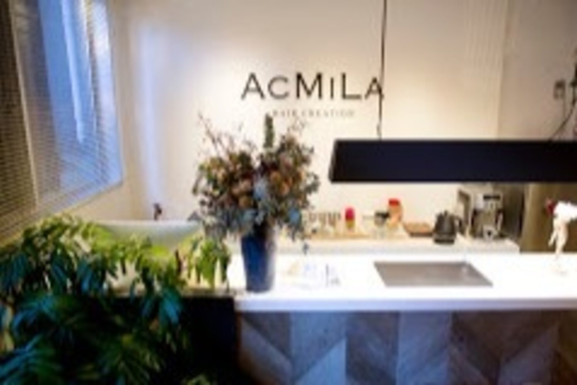 アシミラ(ACMILA)4
