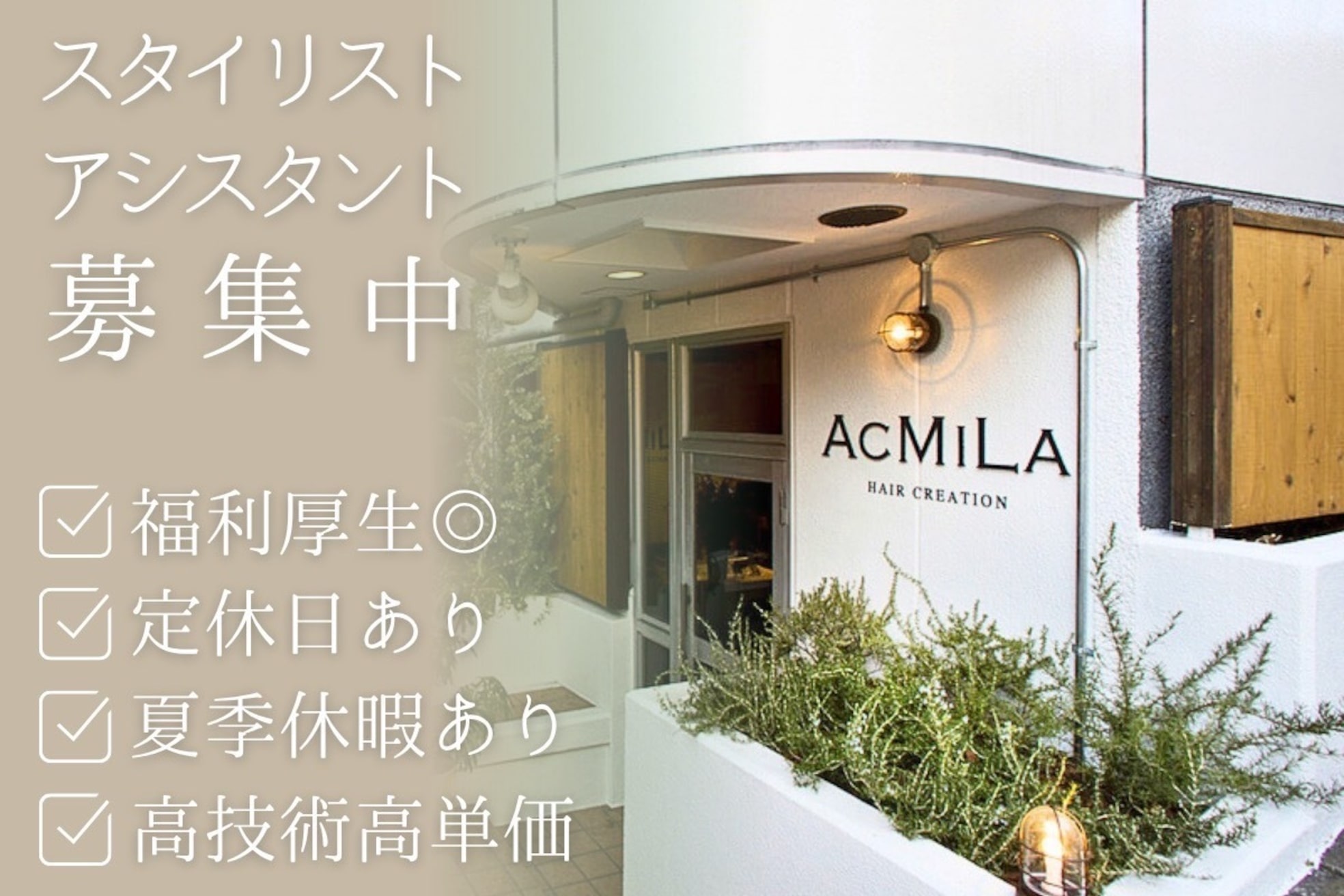 アシミラ(ACMILA)1