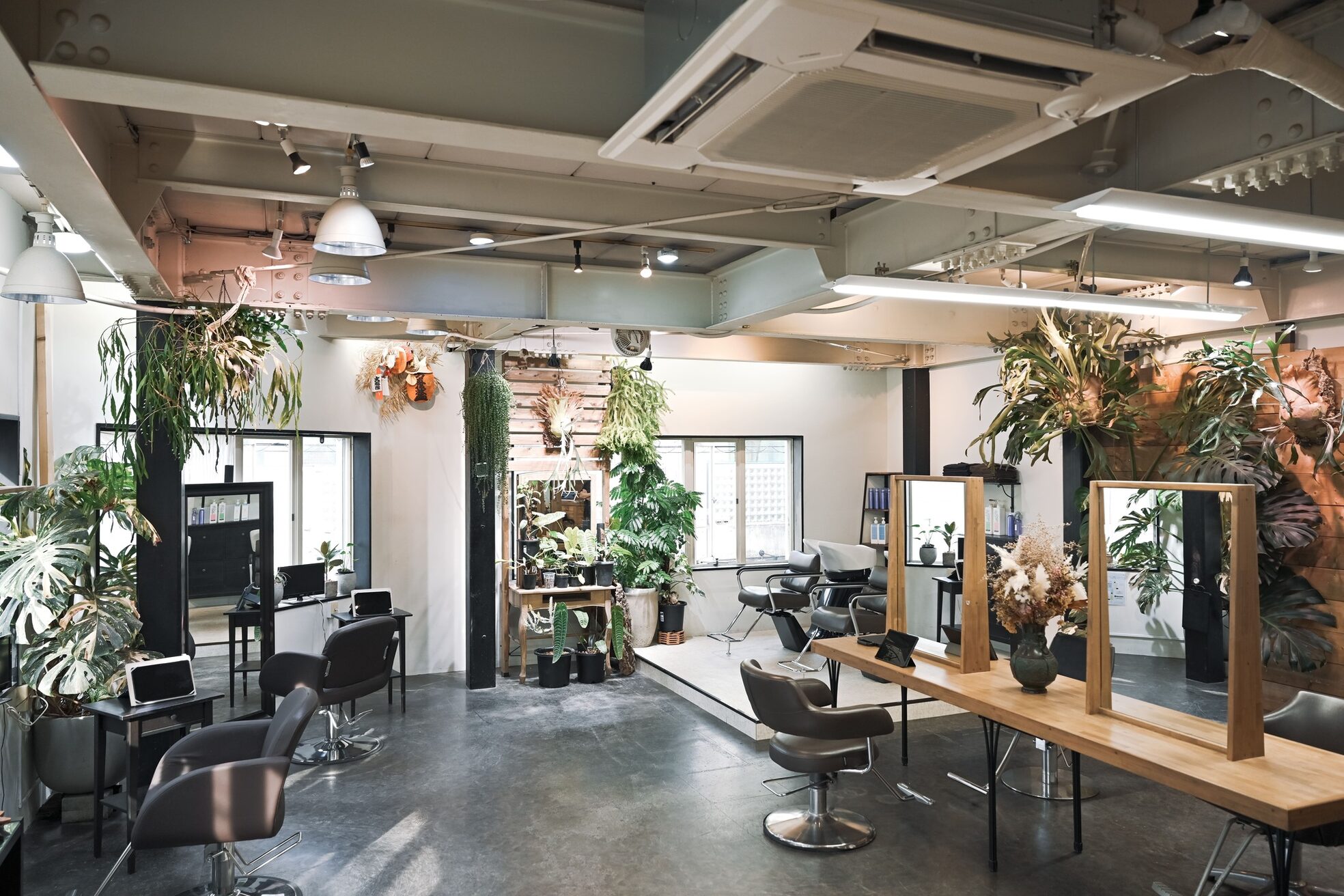 ファイブ ヴィンテージ(5 Vintage)1