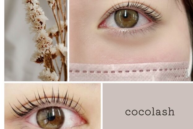 ココラッシュ 日吉(cocolash)1