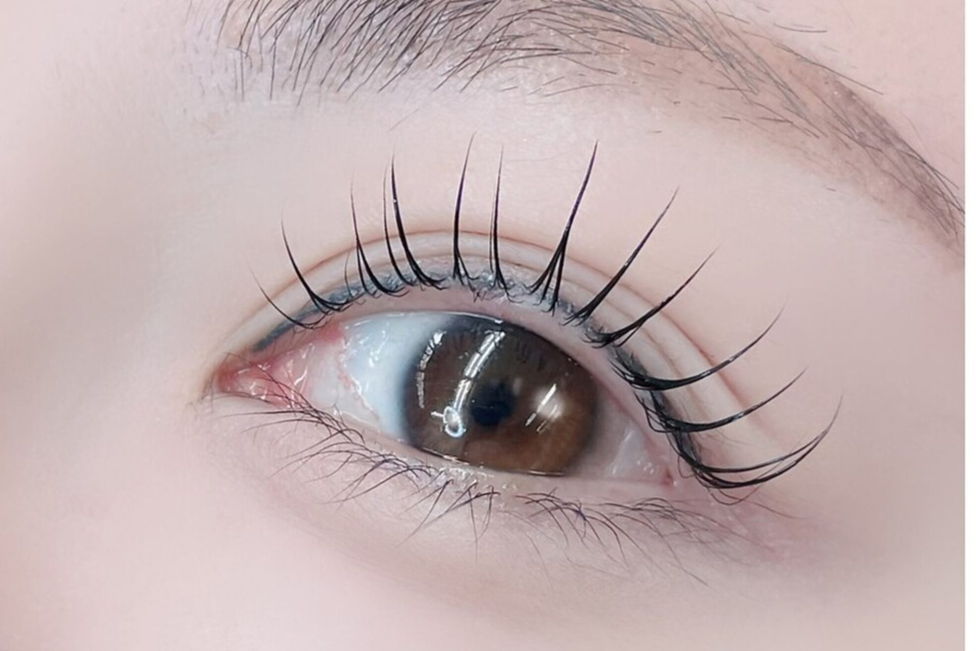 ココラッシュ 伊勢佐木(cocolash)1