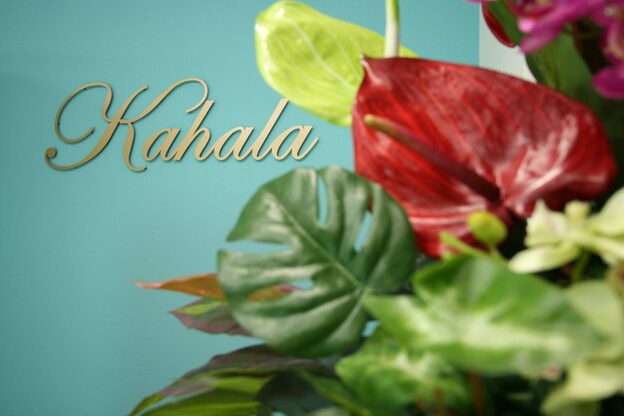 アイラッシュリゾートカハラ 練馬店1