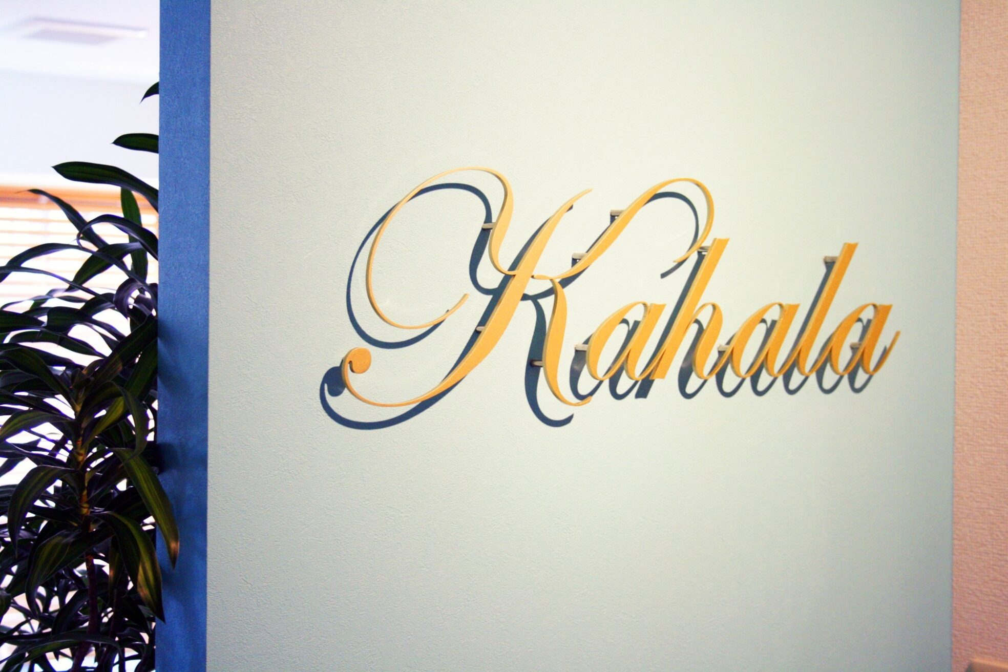 アイラッシュリゾートカハラ 駒込店1