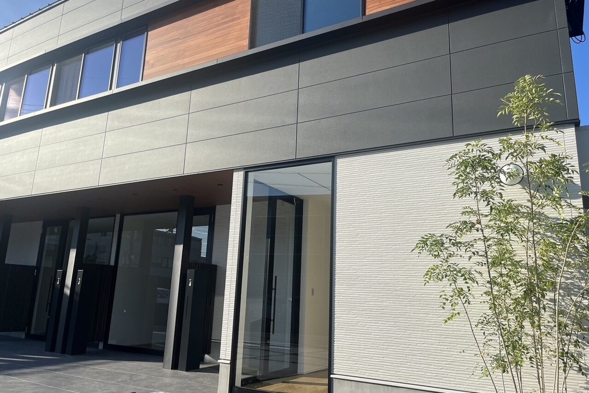 リボーン アオヤマ(Re-born aoyama)1