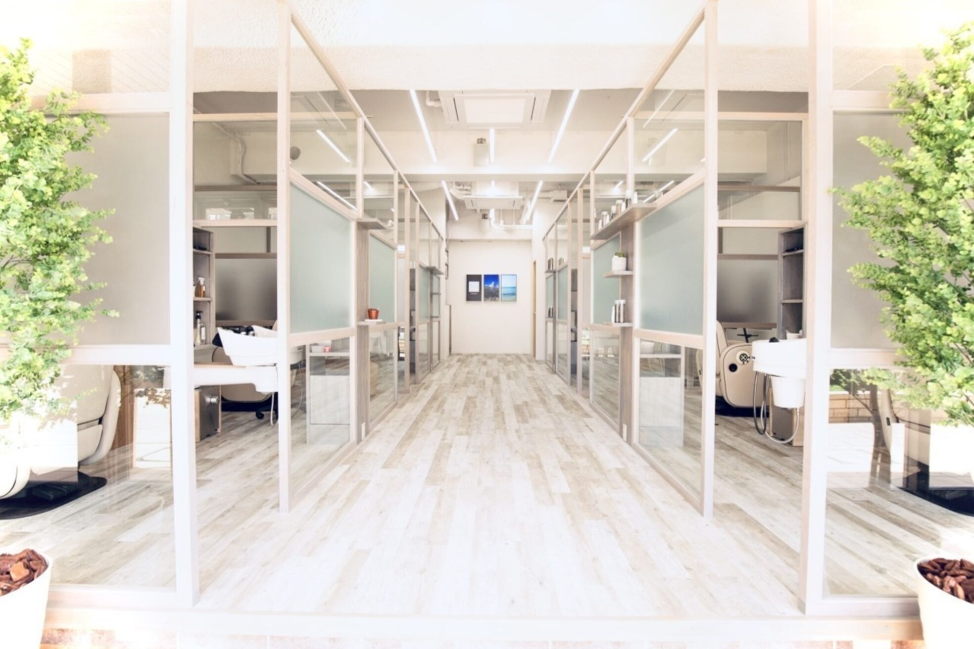 モンジャルダン 流山おおかたの森(Mon Jardin)2