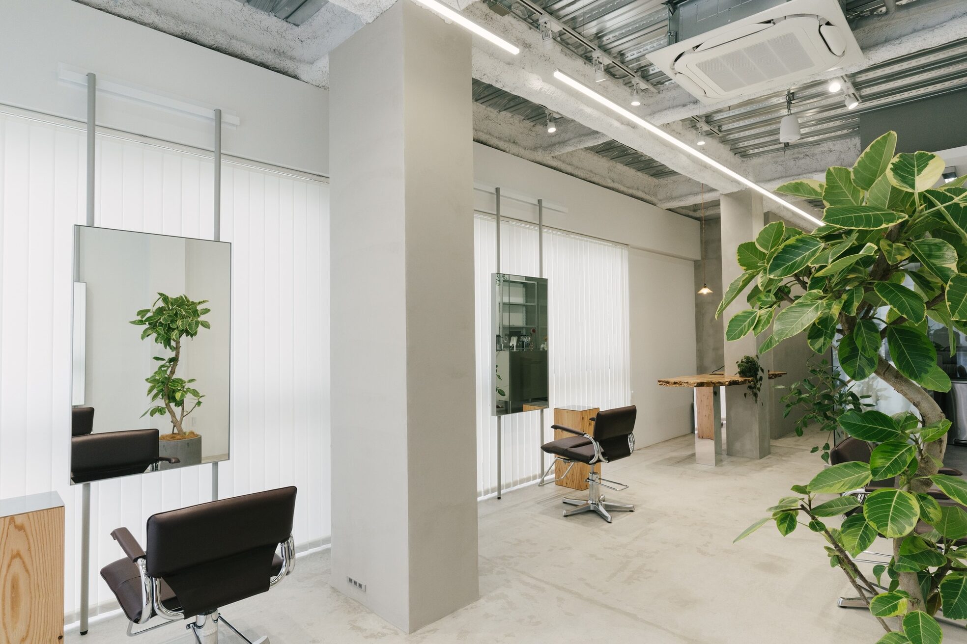 ファムス(fam.s)2