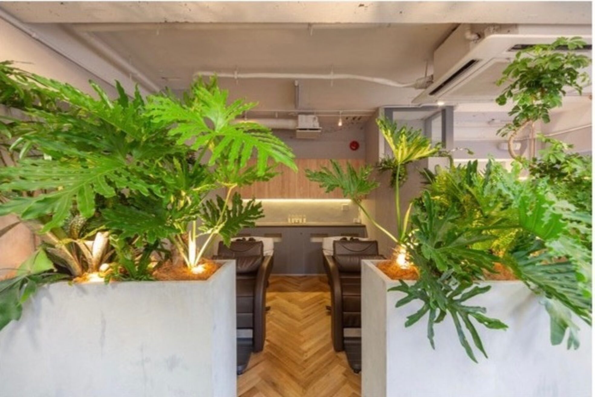 カーメラ(CAMERA)5