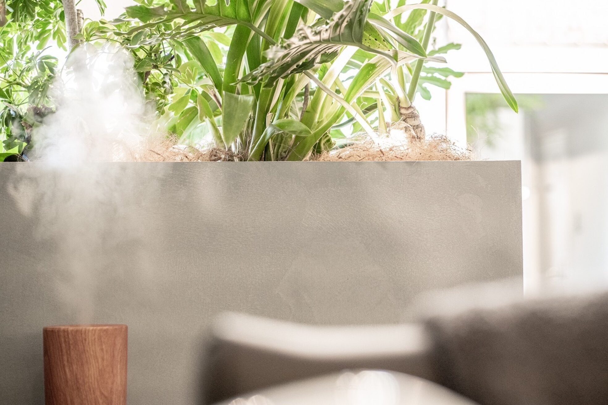 カーメラ(CAMERA)2