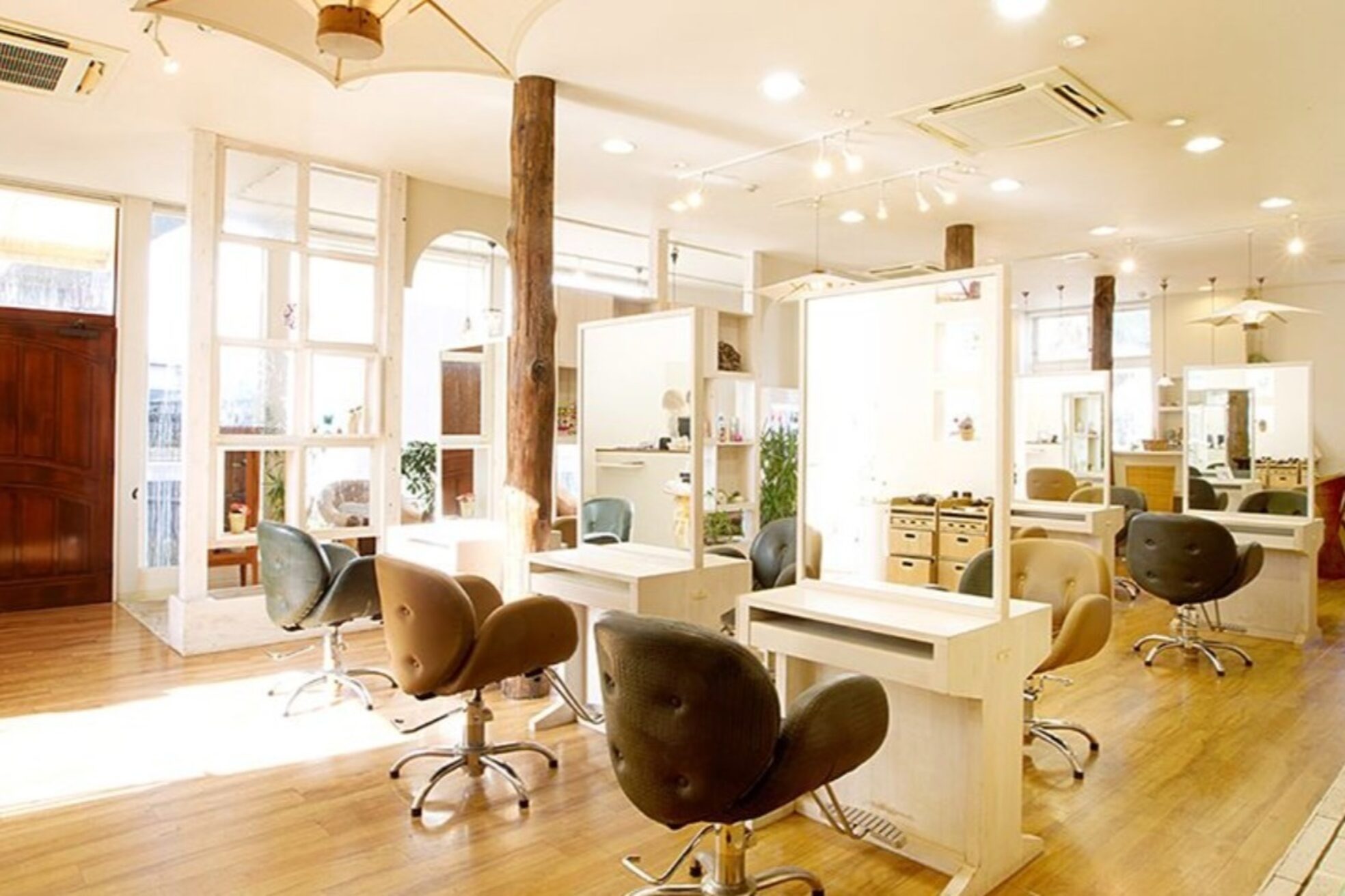 バランスエピ(BALANCE epi)3