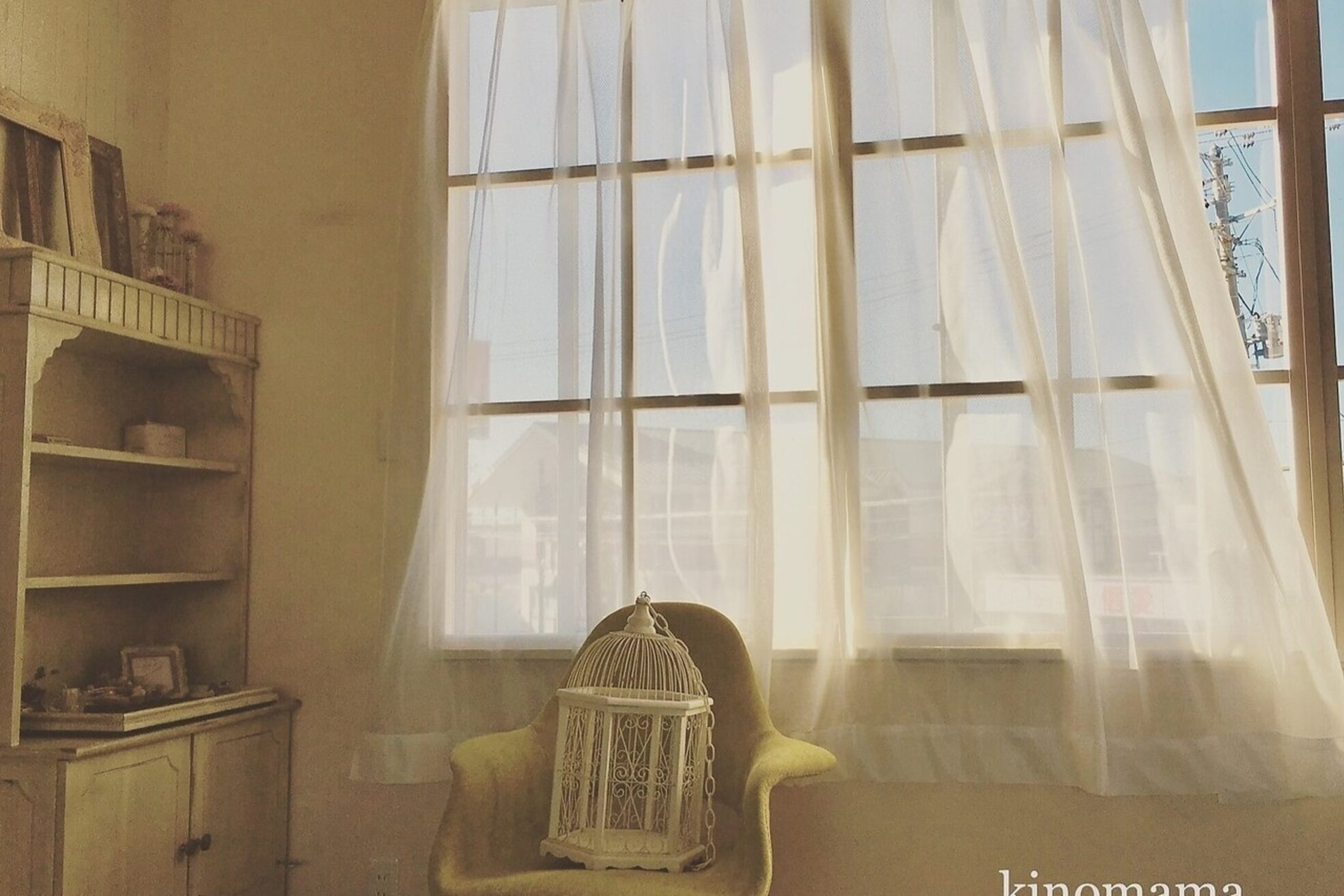 キノママ(Kinomama)3