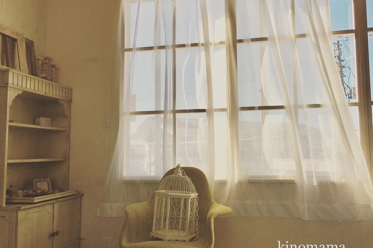 キノママ(Kinomama)3