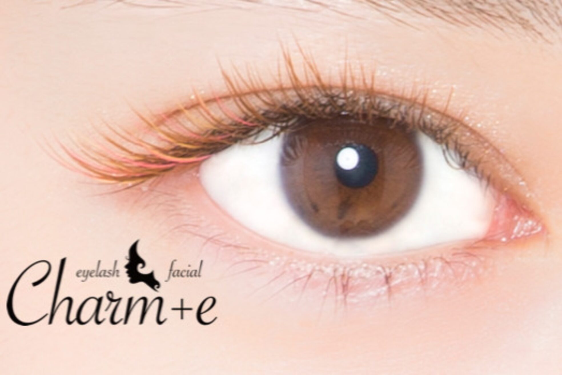 シャルム 八尾店5