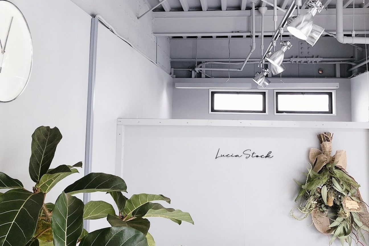 〜まつげエクステ&眉毛の専門店サロン〜eyelash salon Lucia(Lucia)画像1