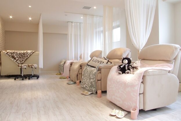 テディプラス(Teddy+)1