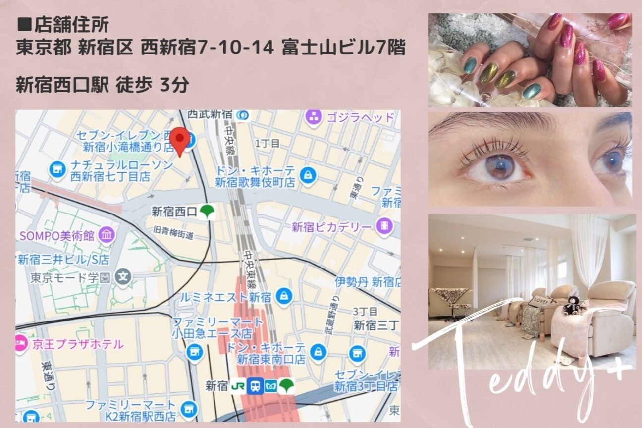 テディプラス(Teddy+)4