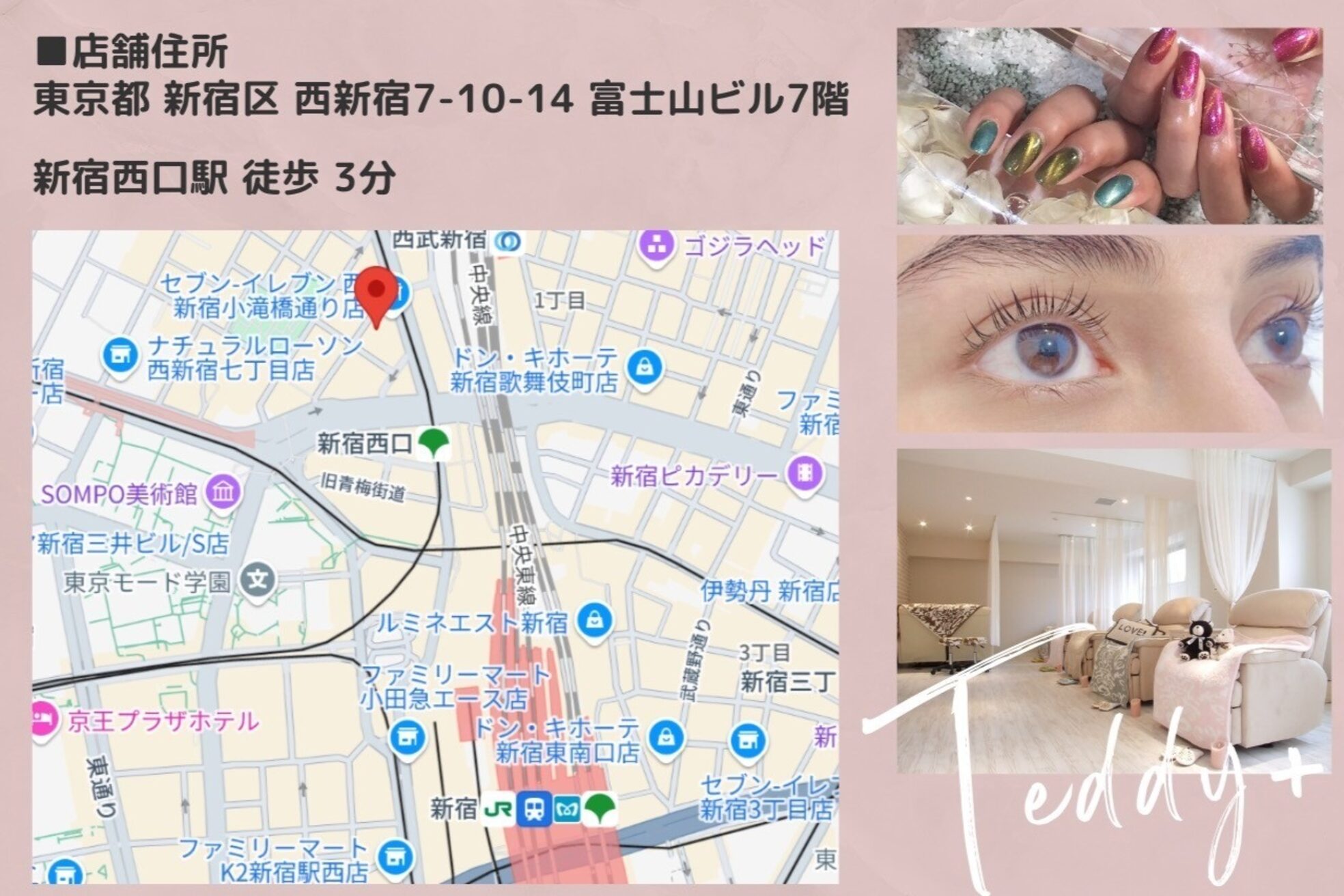 テディプラス(Teddy+)4